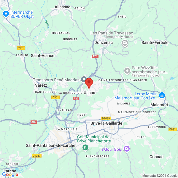 google map