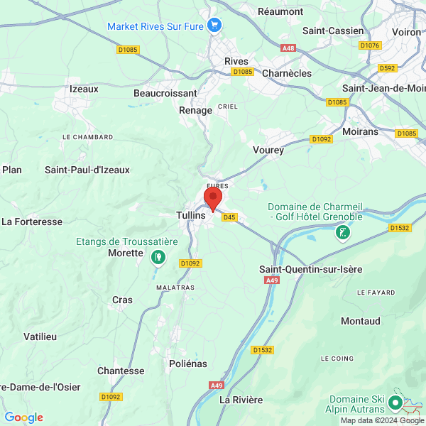 google map