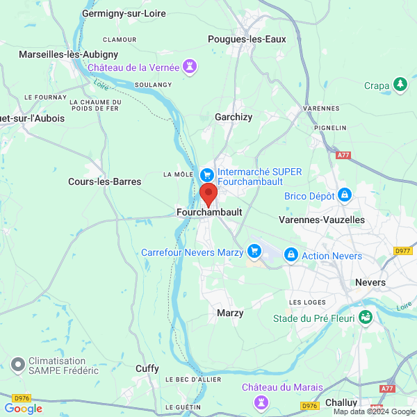 google map