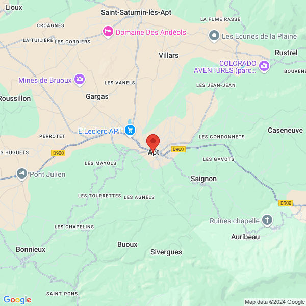 google map