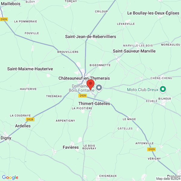 google map