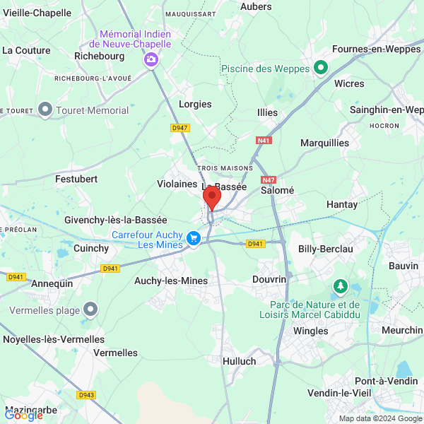 google map