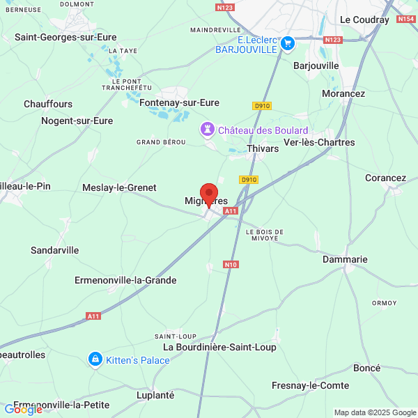 google map