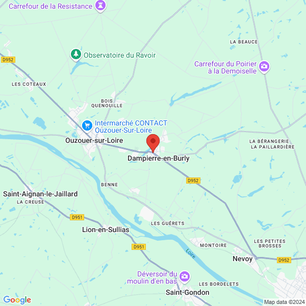 google map