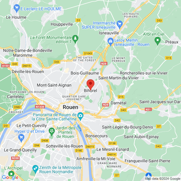 google map